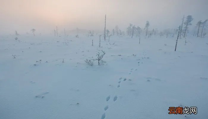 2021双11杭州成交额 双十一成交额历年对比