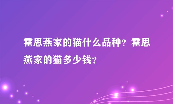霍思燕家的猫什么品种？霍思燕家的猫多少钱？