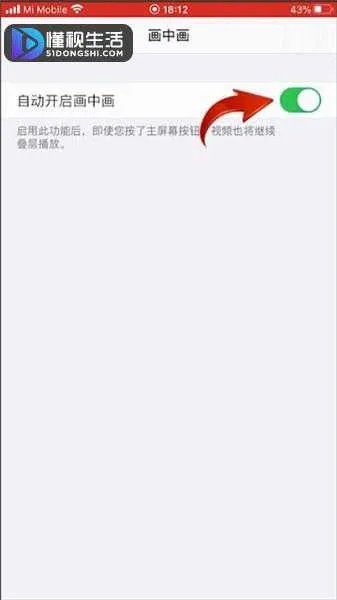 ios14分屏功能怎么开