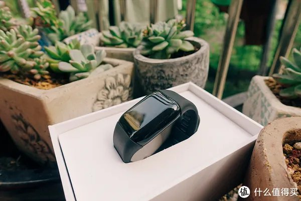 乐心智能手环mambo2怎么样