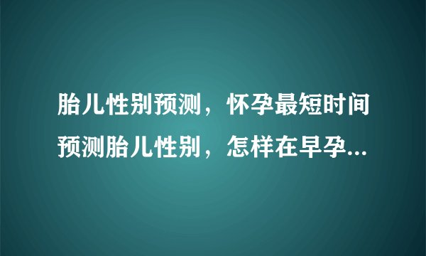 胎儿性别预测，怀孕最短时间预测胎儿性别，怎样在早孕期间预测性别