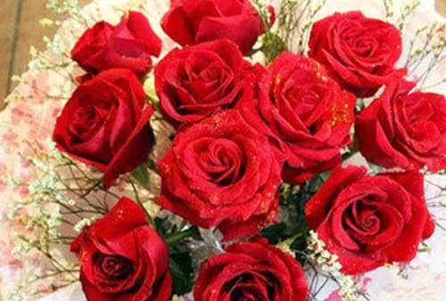 八朵玫瑰花代表什么意思 送花的技巧有哪些