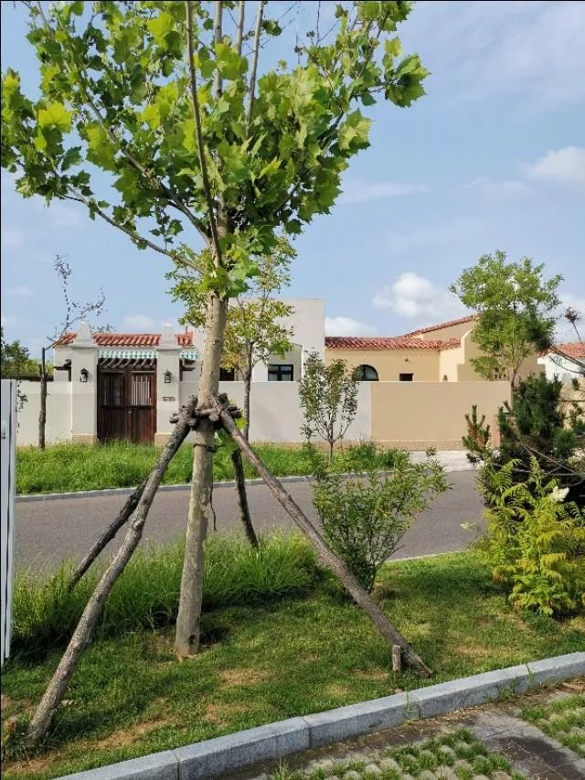 住民宿好还是酒店好?