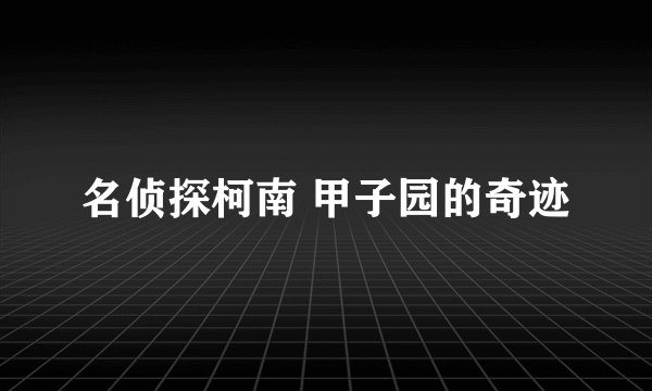 名侦探柯南 甲子园的奇迹