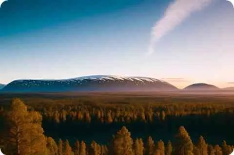 罗仲谦详细资料大全