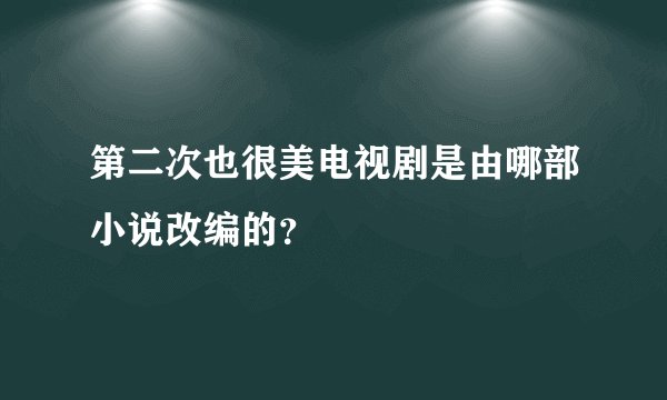 第二次也很美电视剧是由哪部小说改编的？