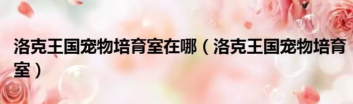 洛克王国宠物培育室在哪(洛克王国宠物培育室)
