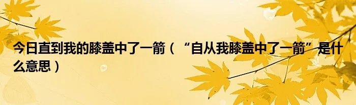 今日直到我的膝盖中了一箭（“自从我膝盖中了一箭”是什么意思）