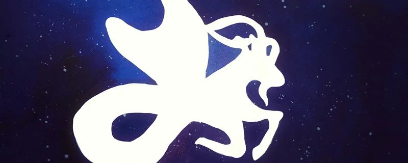 魔羯座女生性格特点 魔羯座女生的真正性格特点