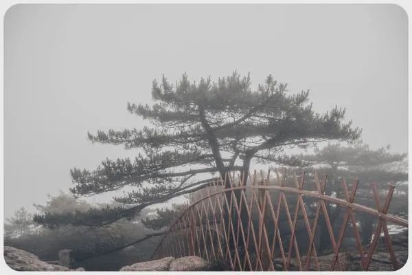 黄山旅游最佳路线是什么?