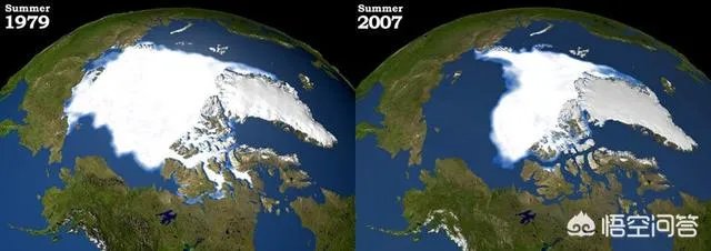 近来北极圈罕见32℃高温，高温成因是什么？北极熊受此影响会走向灭绝吗？