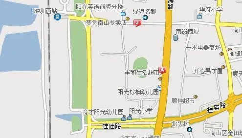 深圳阳光棕榈园详细地址?