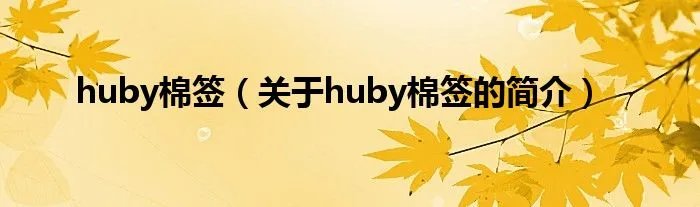 huby棉签（关于huby棉签的简介）