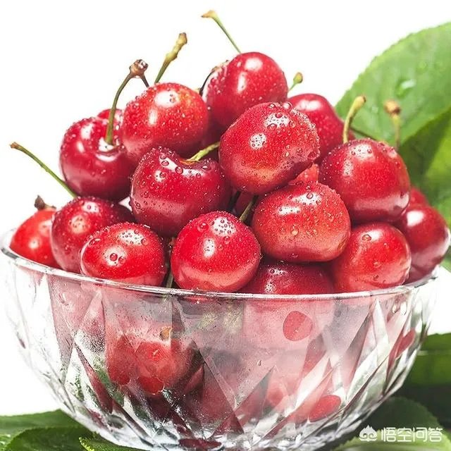 车厘子和樱桃有什么区别？是同一种水果吗？