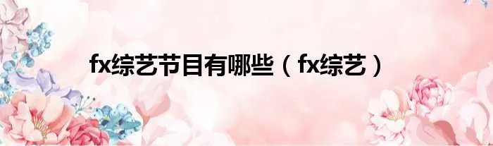 fx综艺节目有哪些（fx综艺）
