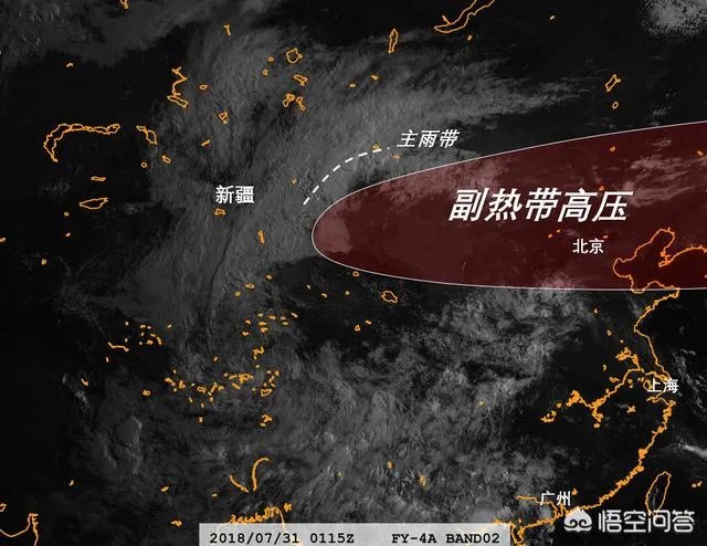 近来北极圈罕见32℃高温，高温成因是什么？北极熊受此影响会走向灭绝吗？