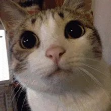 头一次做父亲的感受