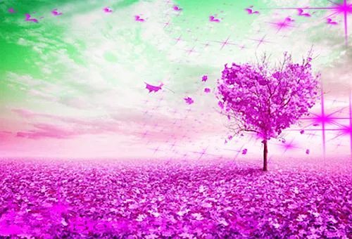 总裁夫人不离婚小说(婚恋文)温卿卿厉司决章节阅读