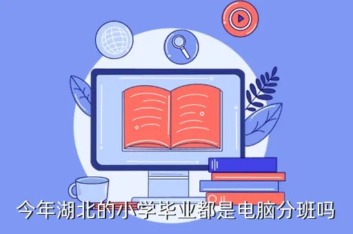 湖北省中小学网络考试中心，今年湖北的小学毕业都是电脑分班吗