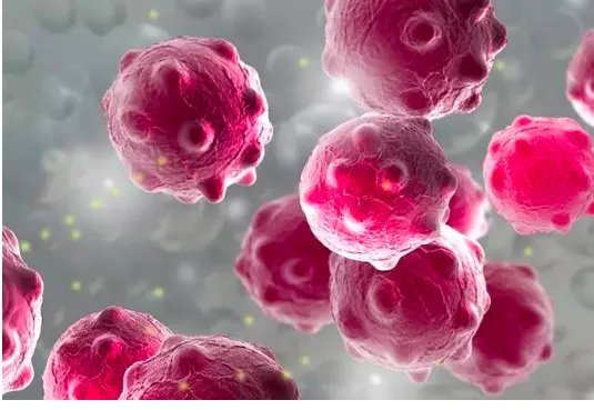 西北民族大学通报265名学生不适是怎么回事？