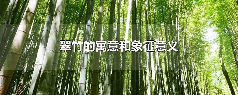 翠竹的寓意和象征意义