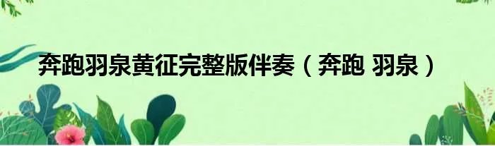 奔跑羽泉黄征完整版伴奏(奔跑 羽泉)