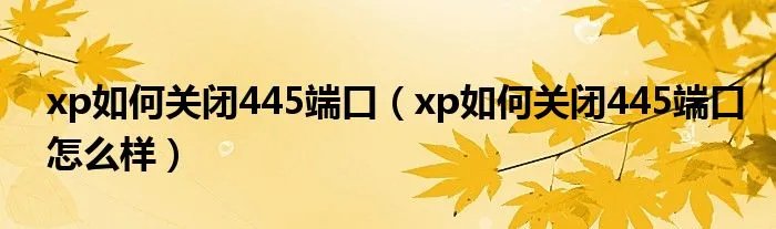 xp如何关闭445端口（xp如何关闭445端口怎么样）