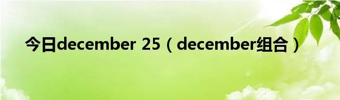 今日december 25（december组合）
