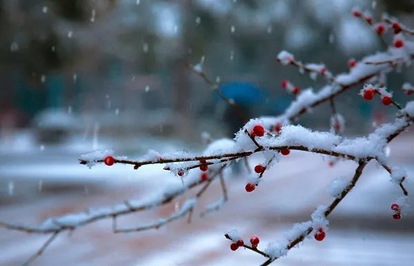 小雪节气哪一天 小雪节气的民俗