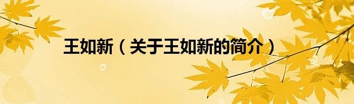 王如新（关于王如新的简介）