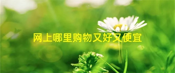 网上哪里购物又好又便宜