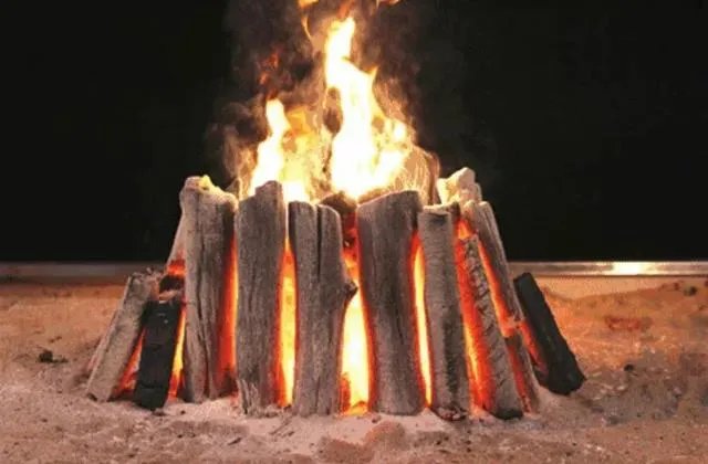 牧民为保护羊群打死狼(内蒙古徒手杀狼)