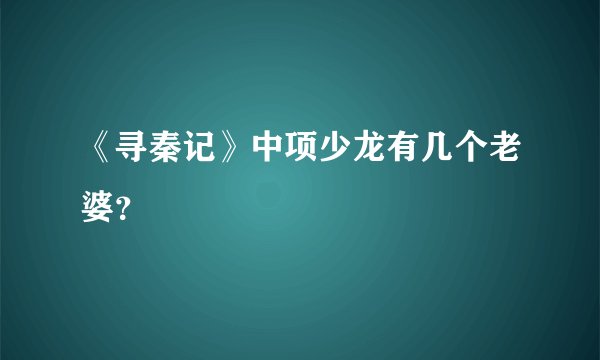 《寻秦记》中项少龙有几个老婆？