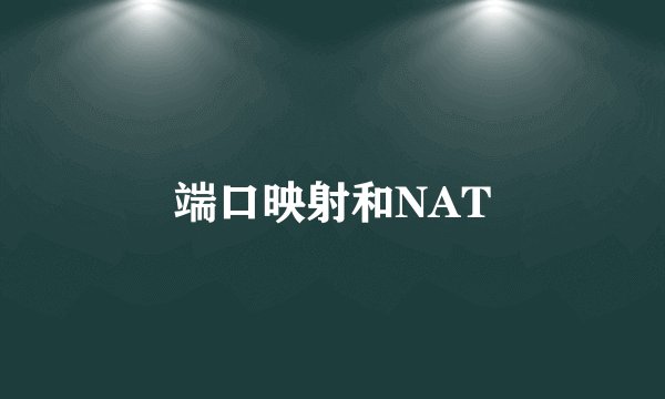 端口映射和NAT