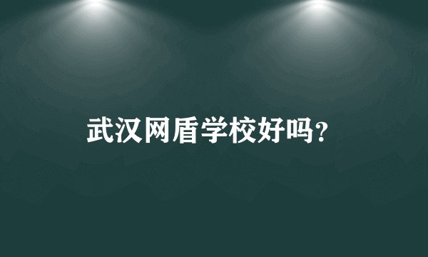 武汉网盾学校好吗？