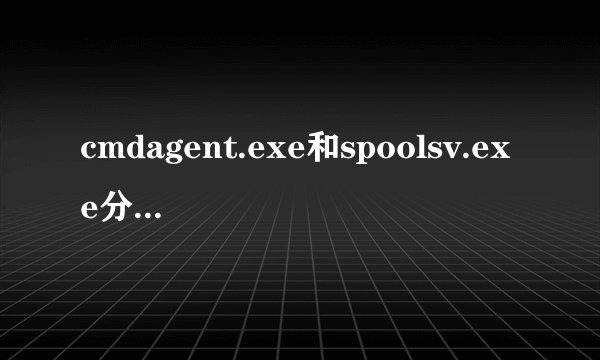 cmdagent.exe和spoolsv.exe分别是什么进程?