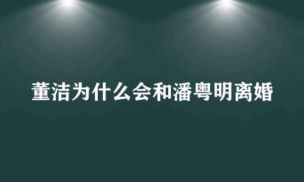董洁为什么会和潘粤明离婚