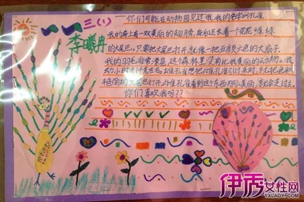 动物名片设计大赛图片