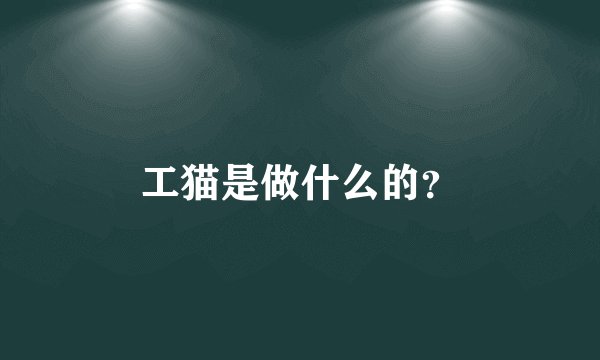 工猫是做什么的？