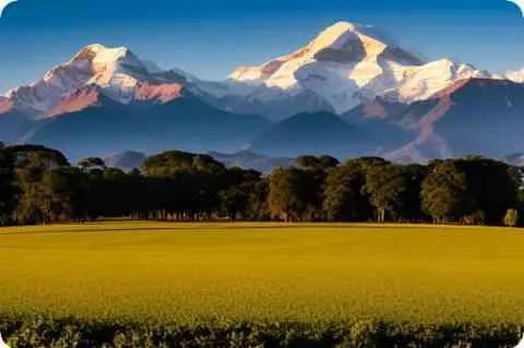 梦见梦见中了500万有什么预兆?是什么意思?