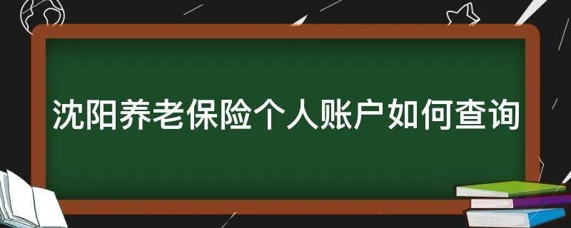 沈阳养老保险个人账户如何查询