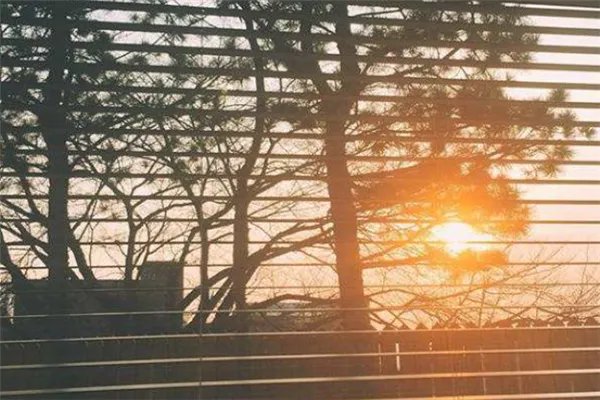 2020抖音网红歌曲排行榜：音乐魔性洗脑，旋律朗朗上口