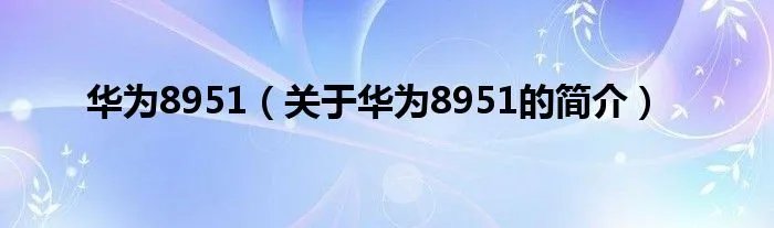 华为8951（关于华为8951的简介）