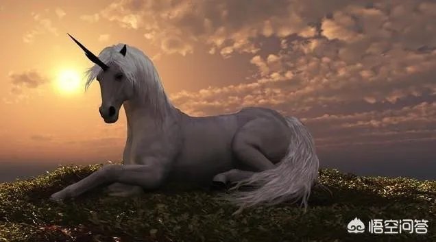 富士康近日将审核首发申请，你怎么看？