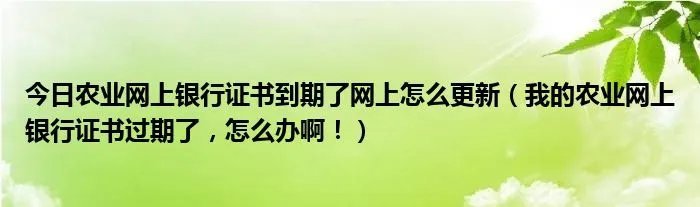 今日农业网上银行证书到期了网上怎么更新（我的农业网上银行证书过期了，怎么办啊！）