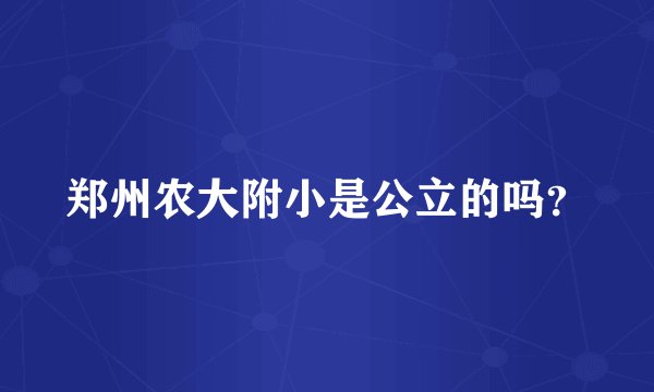 郑州农大附小是公立的吗？