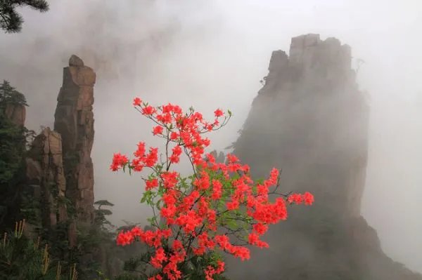 黄山旅游最佳路线是什么?