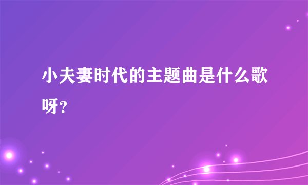 小夫妻时代的主题曲是什么歌呀？