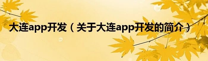 大连app开发（关于大连app开发的简介）