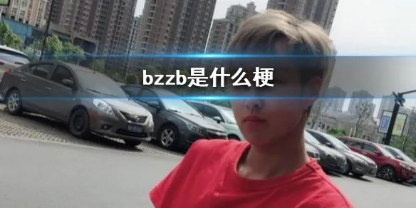 bzzb是什么梗 bzzb意思介绍